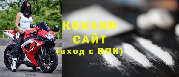 крисы Новозыбков