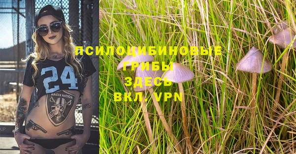 крисы Новозыбков
