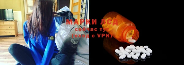 крисы Новозыбков