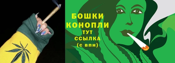 прущие крисы Новодвинск