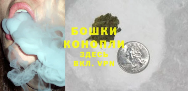 прущие крисы Новодвинск