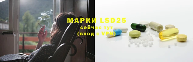 крисы Новозыбков