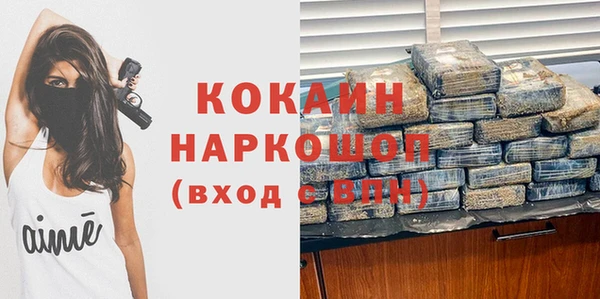 крисы Новозыбков