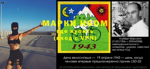 крисы Новозыбков