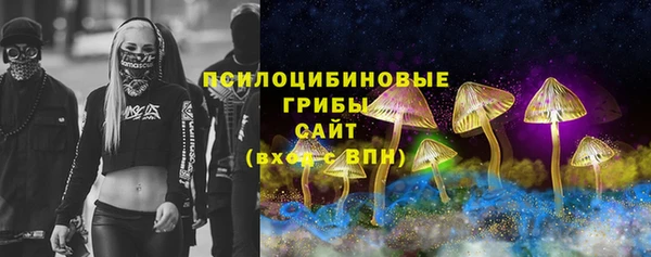 прущие крисы Новодвинск