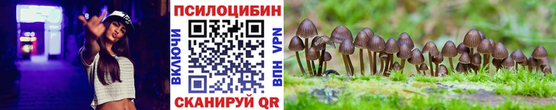 Галлюциногенные грибы мицелий  Пошехонье 