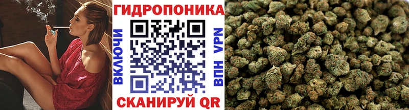 Каннабис Ganja  Пошехонье 
