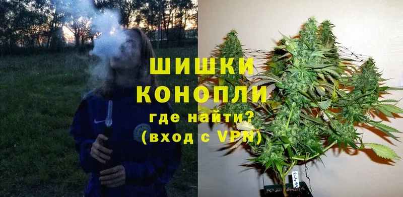 как найти   Пошехонье  Канабис OG Kush 